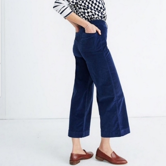 Madewell Blue Emmett Style velvet wide leg pants - Picture 2 of 8